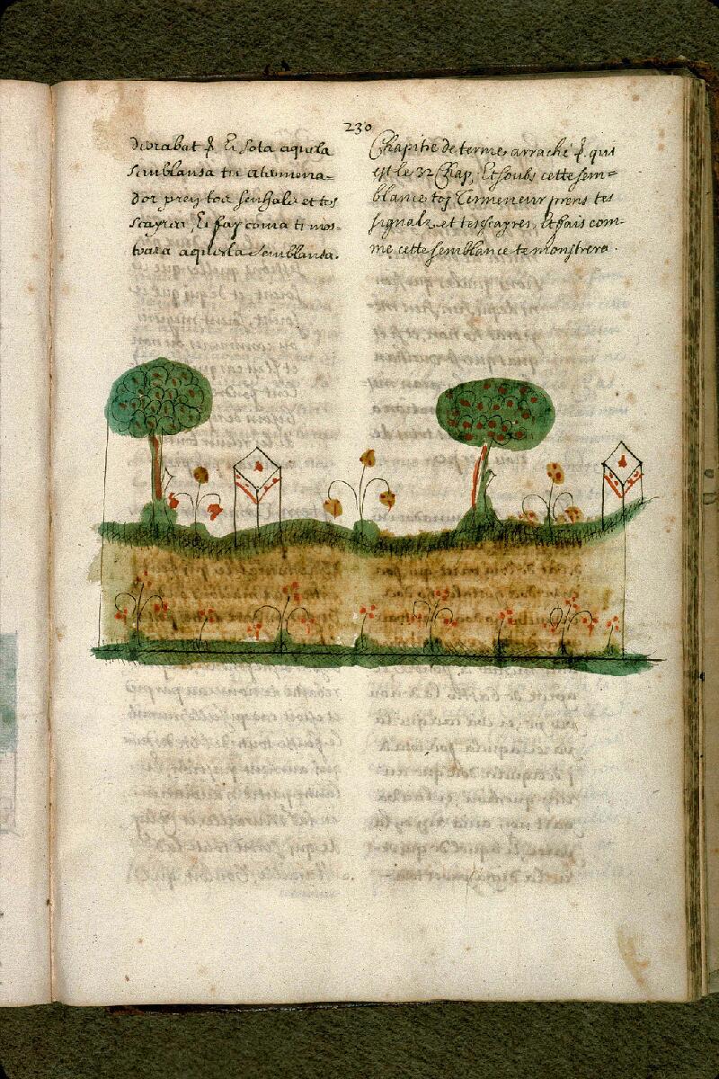 Aix-en-Provence, Bibl. mun., ms. 0124, f. 230