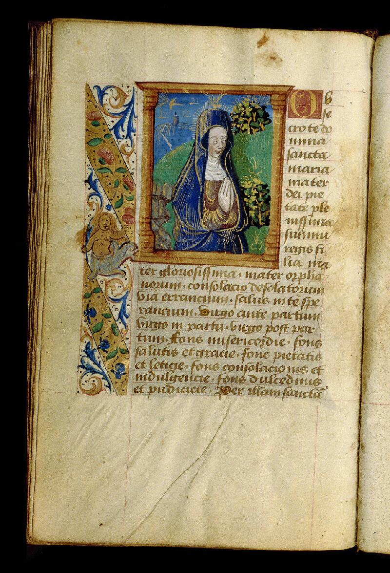 Amiens, Bibl. mun., ms. 2556, f. 175v - vue 1