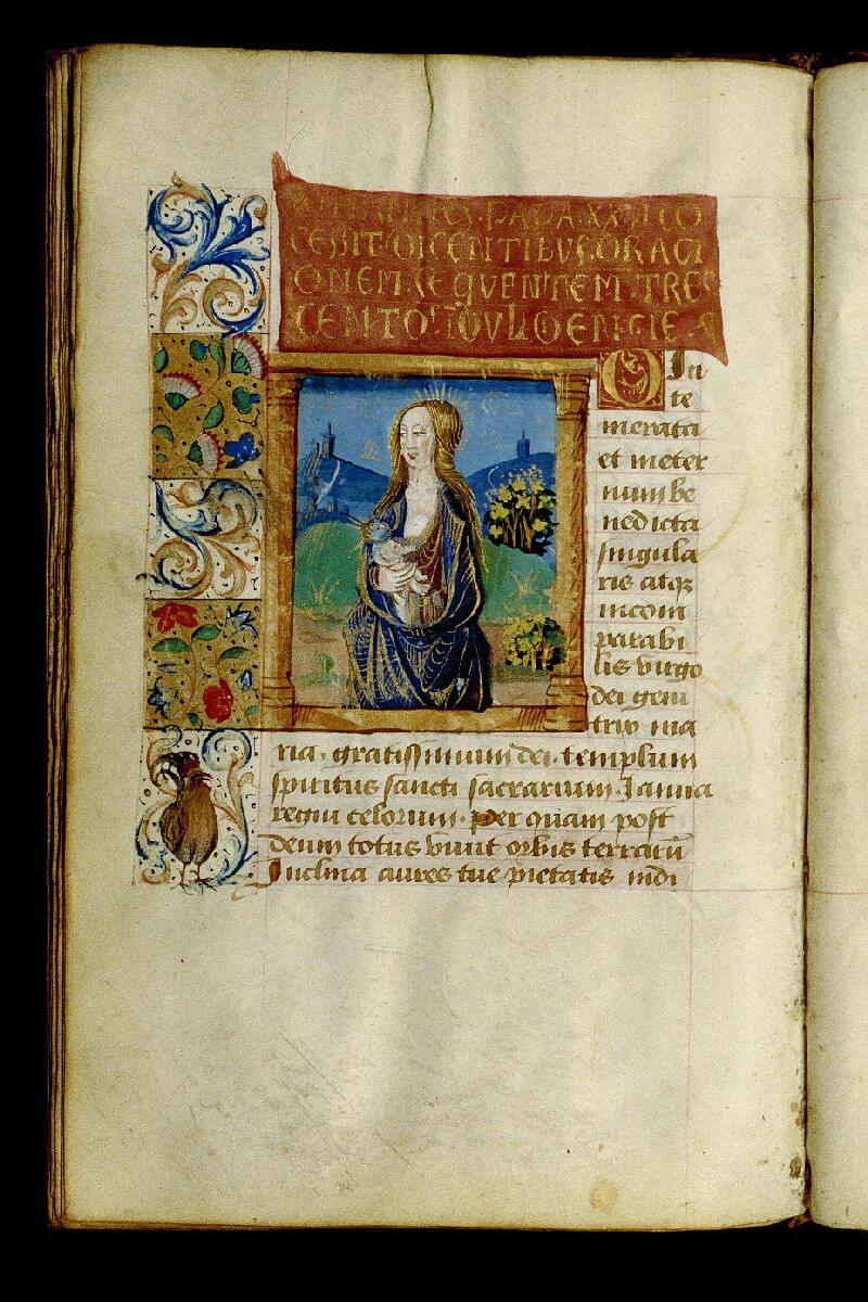 Amiens, Bibl. mun., ms. 2556, f. 178v - vue 1