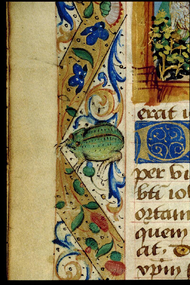 Amiens, Bibl. mun., ms. 2556, f. 185v - vue 3