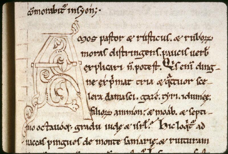 Amiens, Bibl. mun., ms. 0013, f. 183 - vue 2