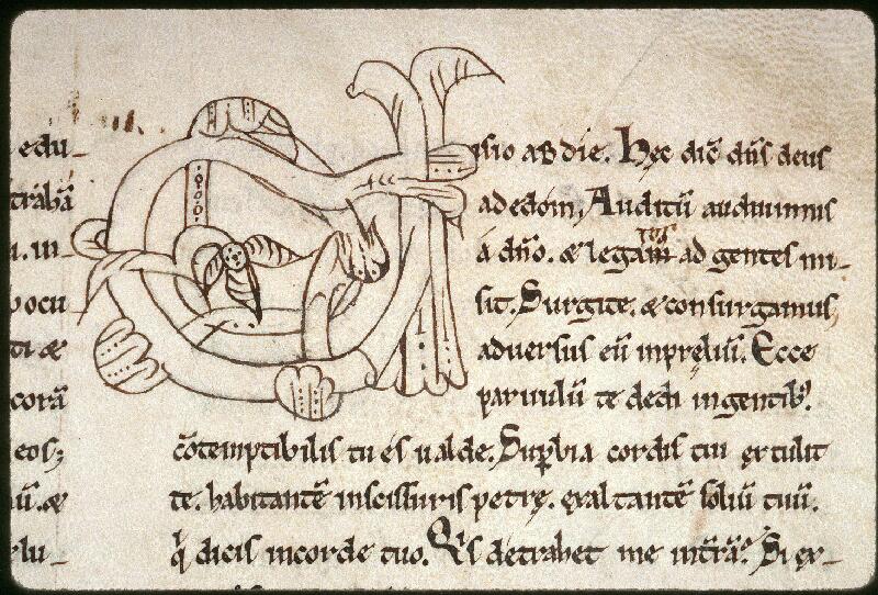 Amiens, Bibl. mun., ms. 0013, f. 185