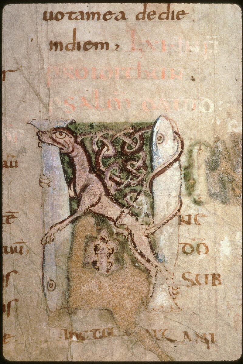 Amiens, Bibl. mun., ms. 0018, f. 053
