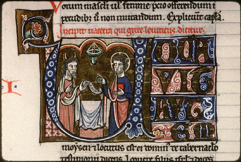 Amiens, Bibl. mun., ms. 0021, f. 043 - vue 1