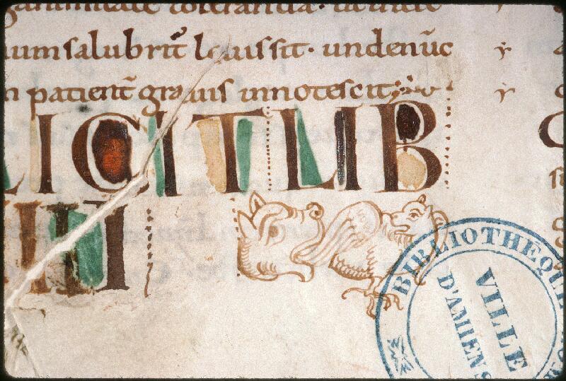 Amiens, Bibl. mun., ms. 0044, f. 021 - vue 2