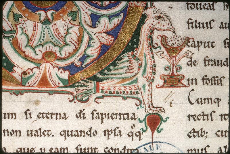 Amiens, Bibl. mun., ms. 0042, f. 001 - vue 4