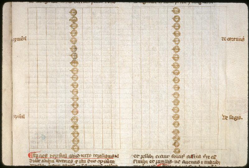 Amiens, Bibl. mun., ms. 0033, f. 082