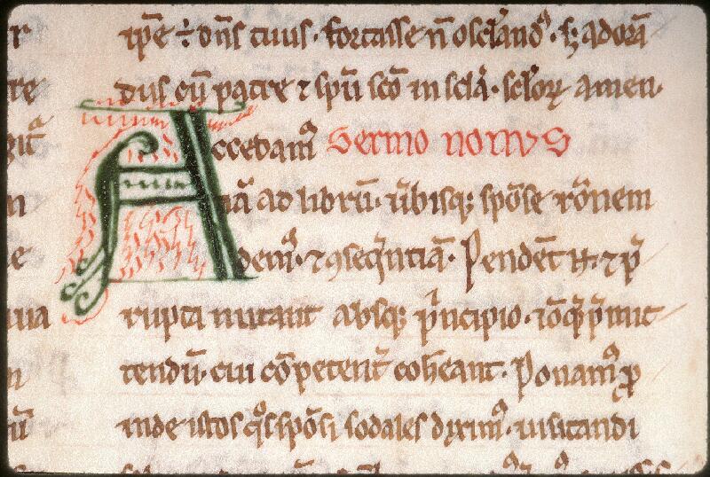 Amiens, Bibl. mun., ms. 0062, f. 014v - vue 2