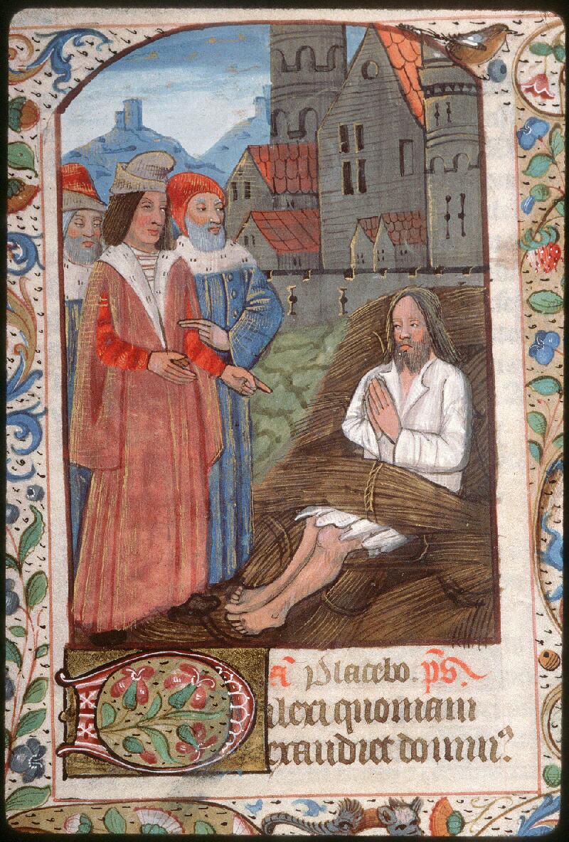 Amiens, Bibl. mun., ms. 0107, f. 011v - vue 02
