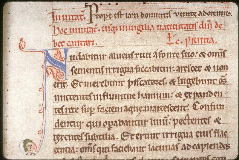 Amiens, Bibl. mun., ms. 0115, f. 011
