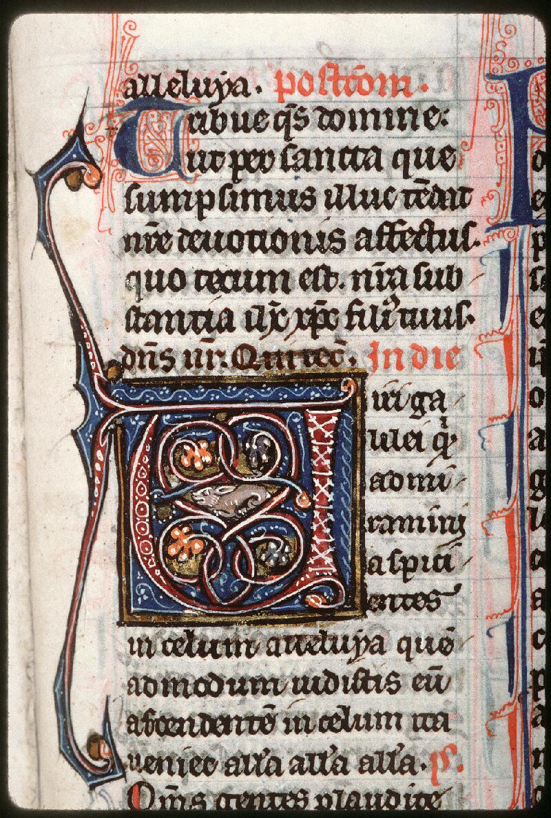 Amiens, Bibl. mun., ms. 0156, f. 294