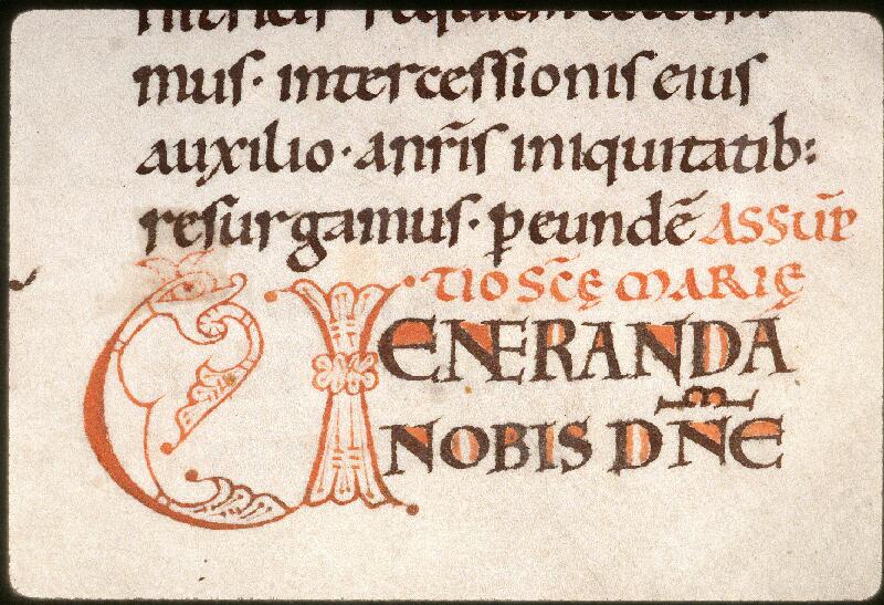 Amiens, Bibl. mun., ms. 0155, f. 102