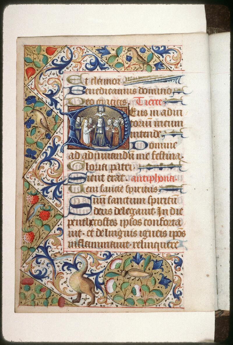 Amiens, Bibl. mun., ms. 0201, f. 016v - vue 1