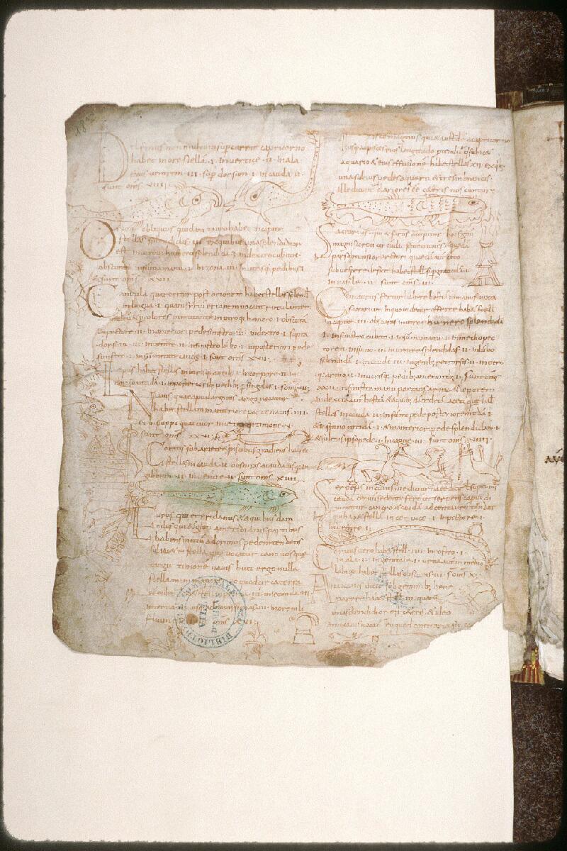 Amiens, Bibl. mun., ms. 0222, f. 018v