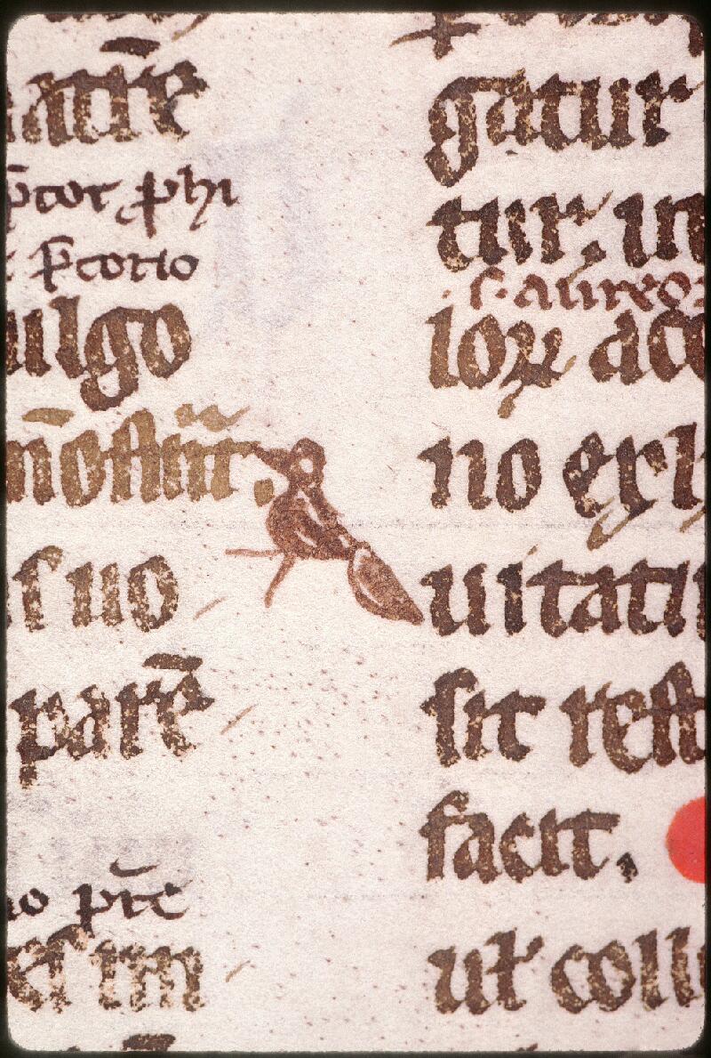 Amiens, Bibl. mun., ms. 0347, f. 015v