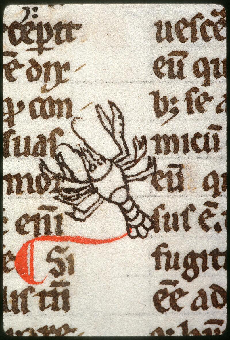 Amiens, Bibl. mun., ms. 0347, f. 185v - vue 1