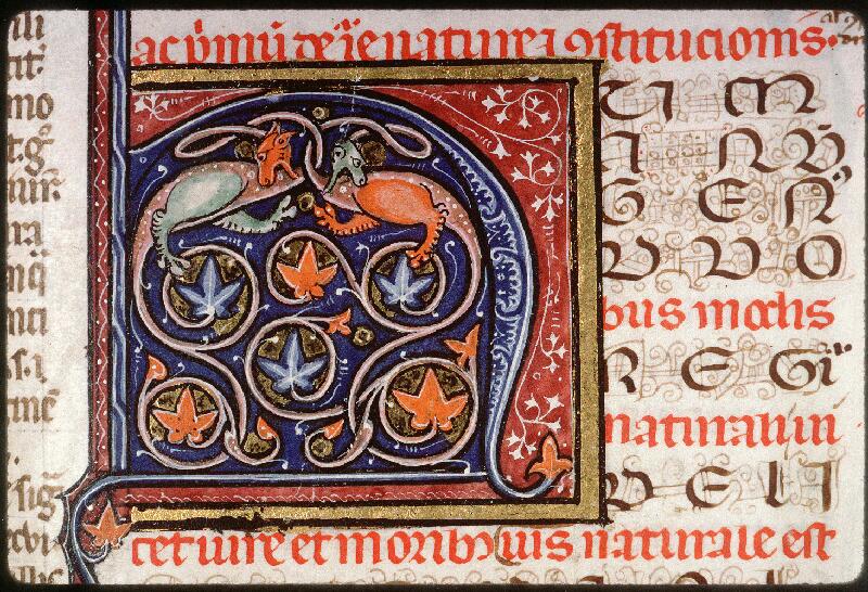 Amiens, Bibl. mun., ms. 0353, f. 046 - vue 3