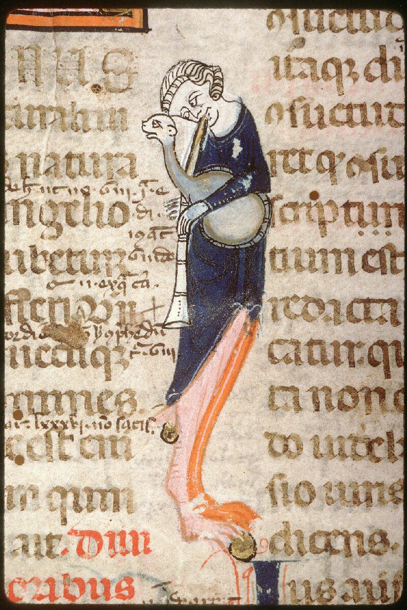 Amiens, Bibl. mun., ms. 0355, f. 001 - vue 5