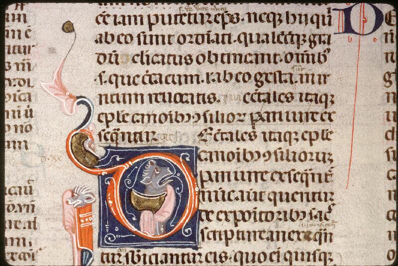 Amiens, Bibl. mun., ms. 0355, f. 018v