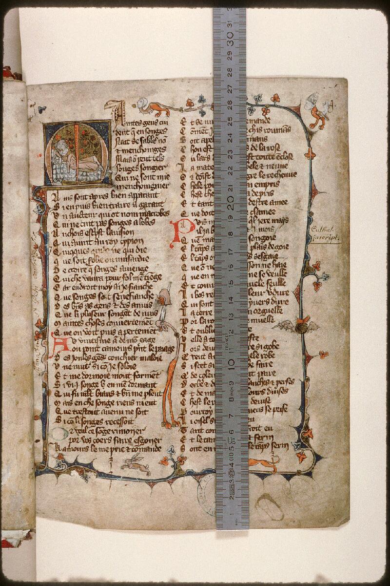 Amiens, Bibl. mun., ms. 0437, f. 001 - vue 1