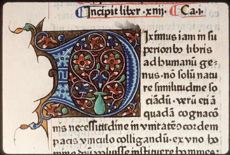 Amiens, Bibl. mun., rés. 028, f. 141