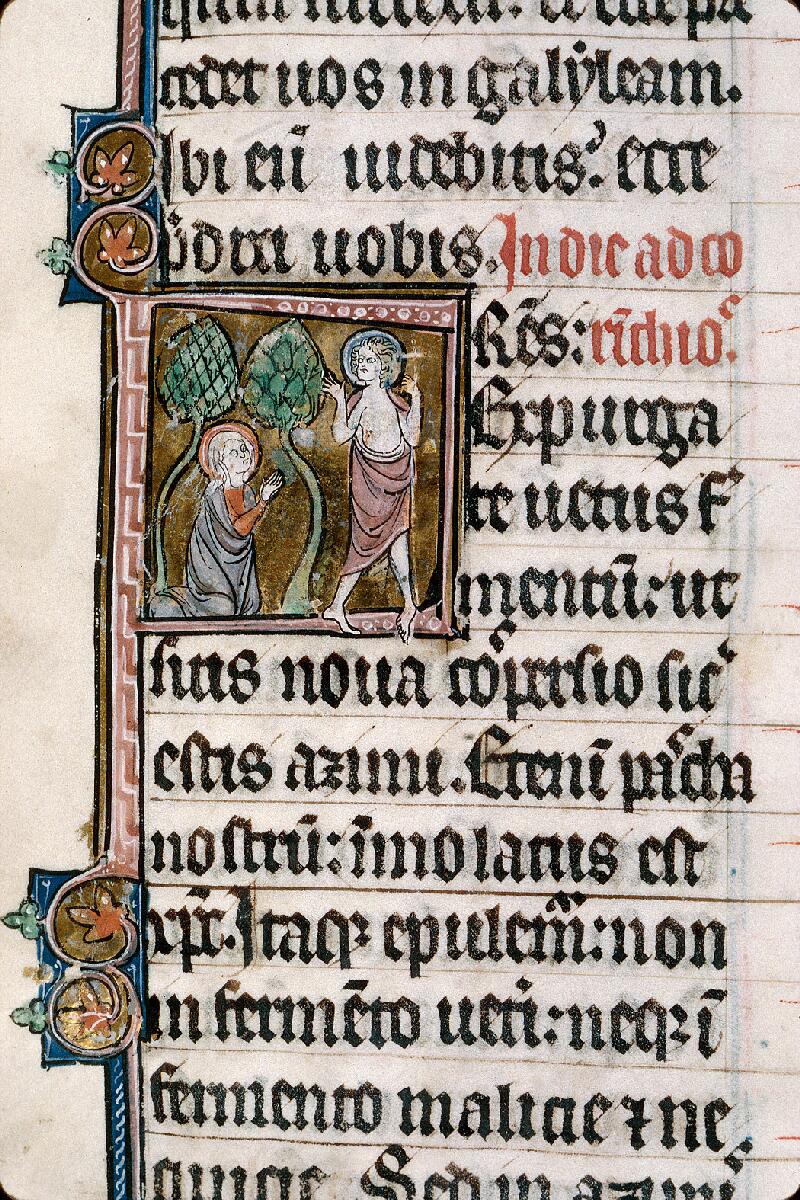 Arras, Bibl. mun., ms. 0088, f. 077v - vue 2