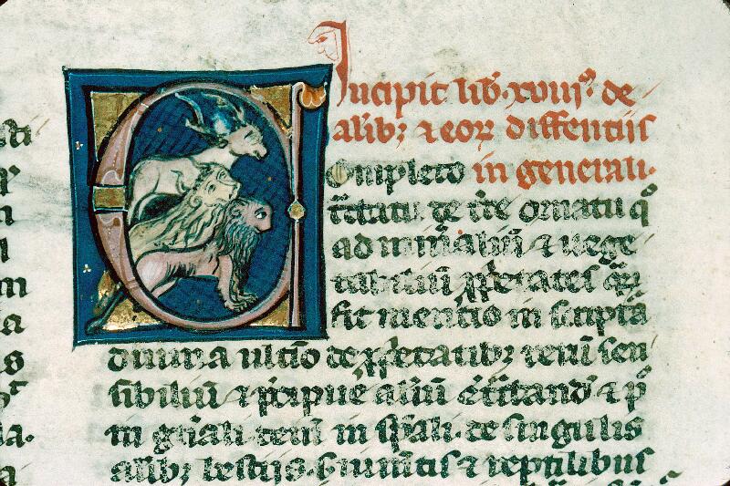Autun, Bibl. mun., ms. 0032 (S036), f. 245v