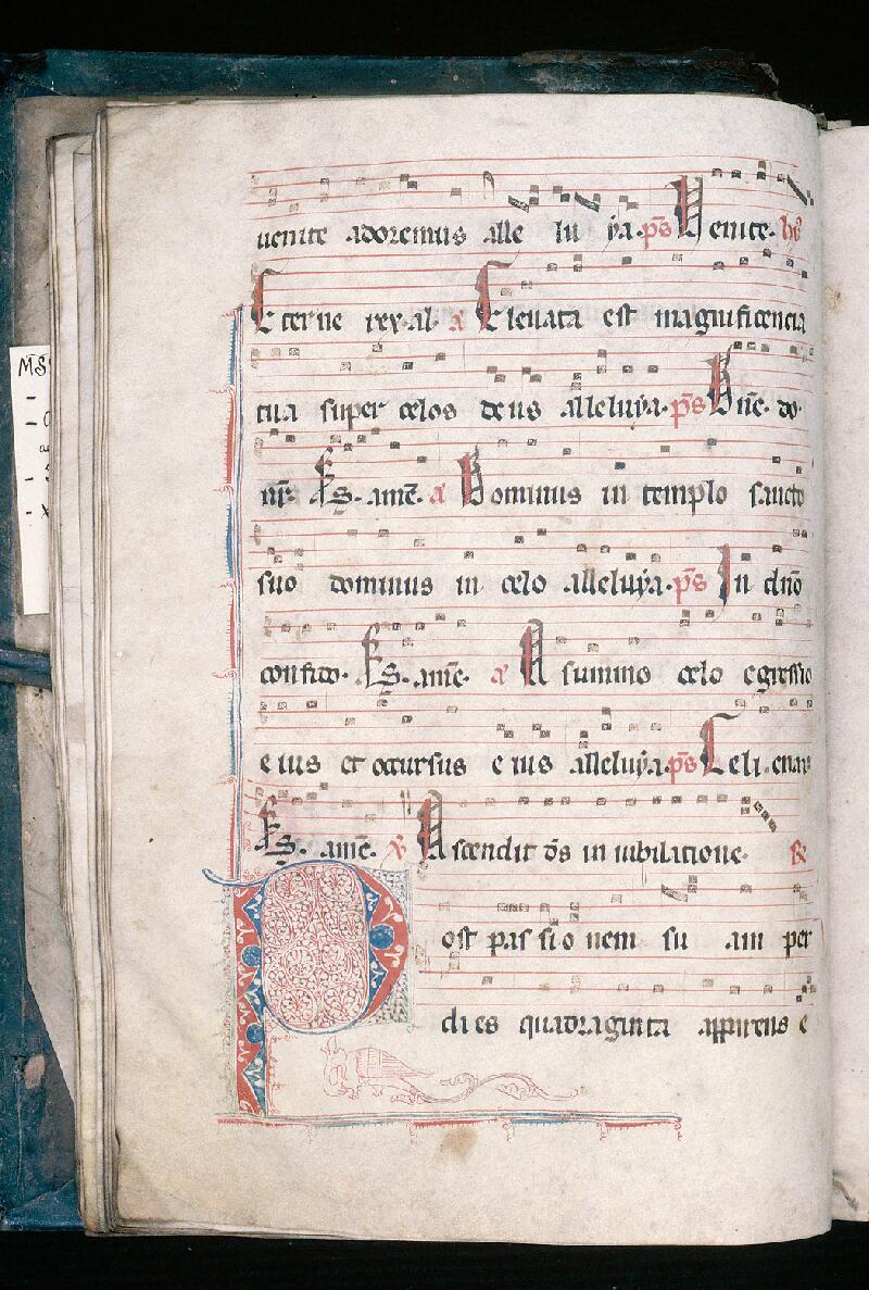 Autun, Bibl. mun., ms. 150 (S 174), f. 020v - vue 2