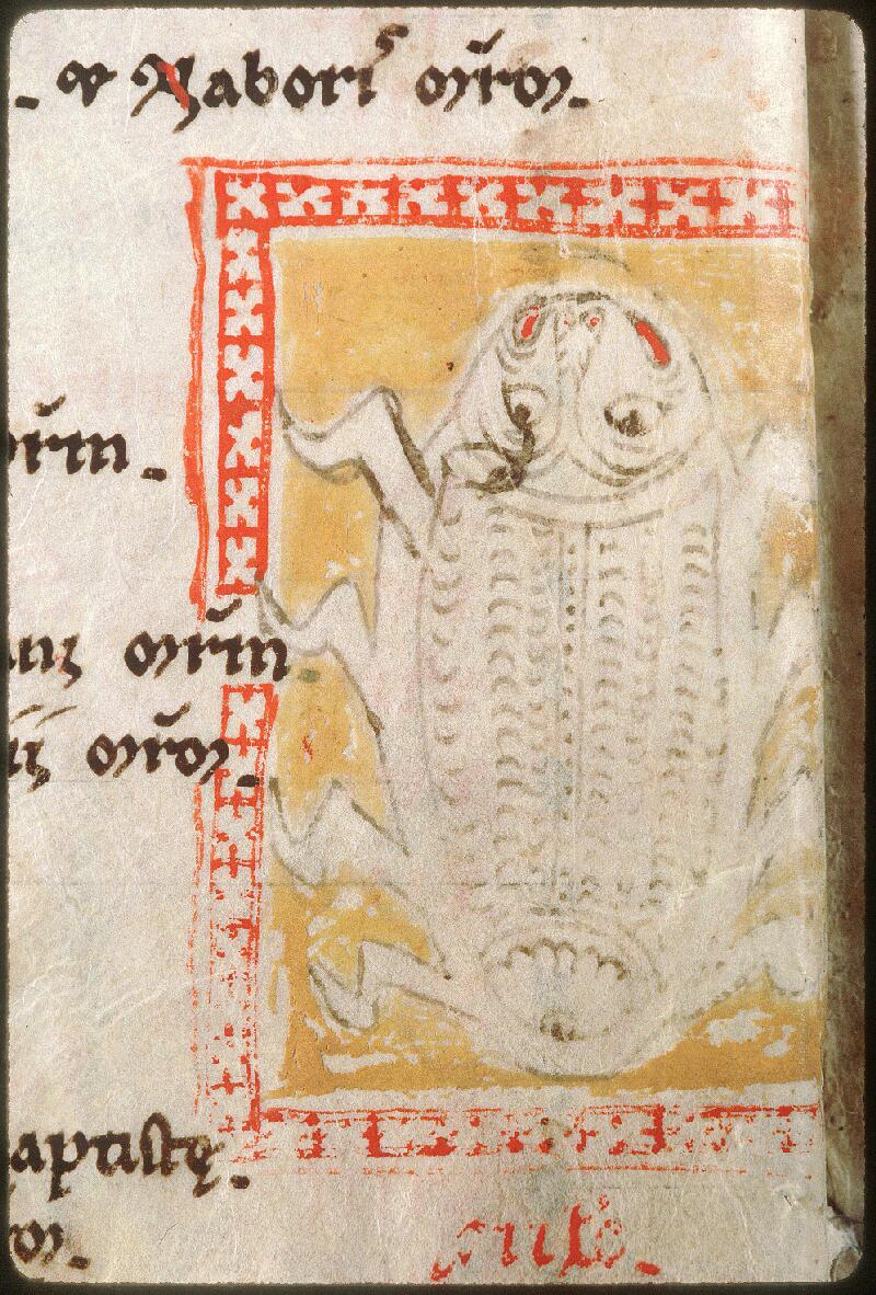 Avignon, Bibl. mun., ms. 0009, f. 003v