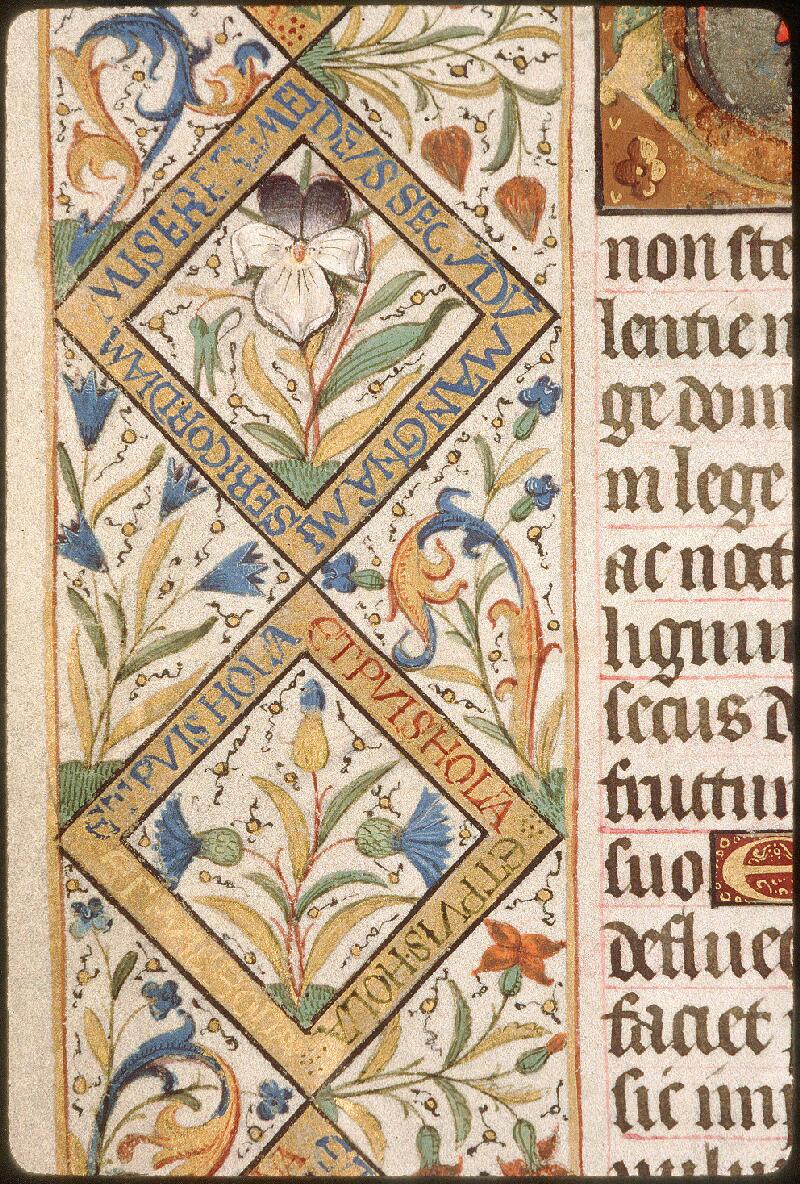 Avignon, Bibl. mun., ms. 0010, f. 001v - vue 5