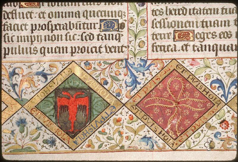 Avignon, Bibl. mun., ms. 0010, f. 001v - vue 7