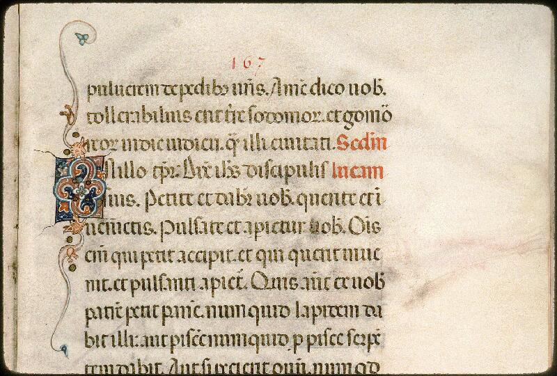 Avignon, Bibl. mun., ms. 0023, f. 167 - vue 2