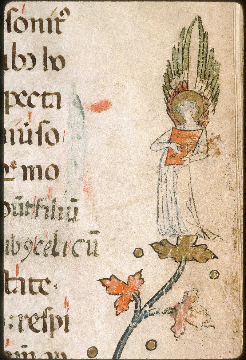 Avignon, Bibl. mun., ms. 0024, f. 001 - vue 10