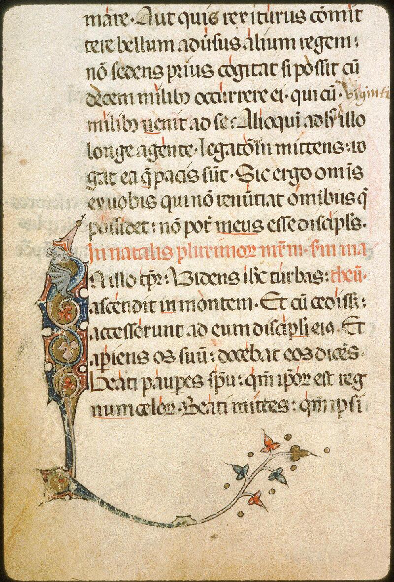 Avignon, Bibl. mun., ms. 0024, f. 156v - vue 1