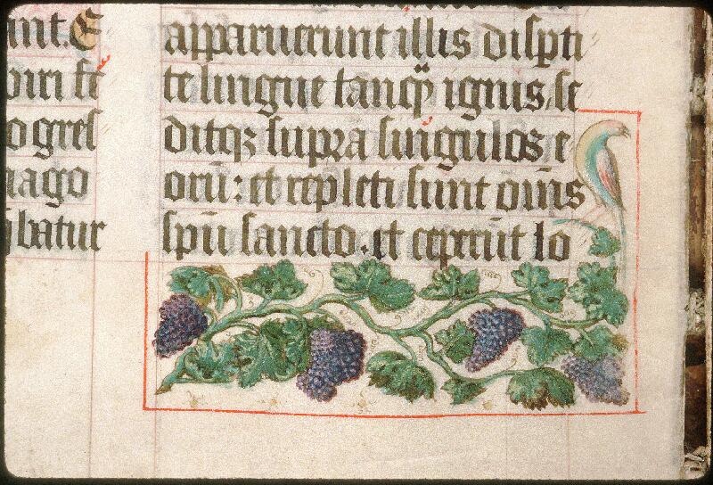 Avignon, Bibl. mun., ms. 0029, f. 055v - vue 3