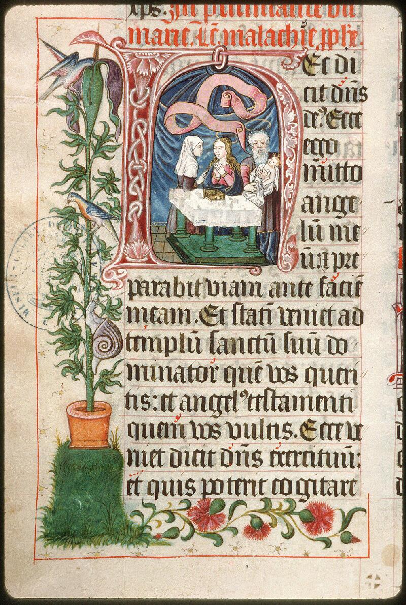 Avignon, Bibl. mun., ms. 0029, f. 072v - vue 2