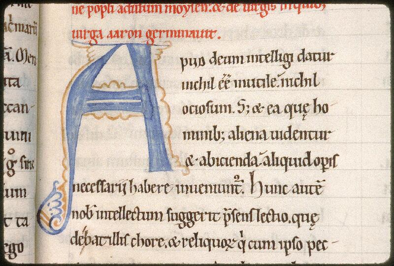 Avignon, Bibl. mun., ms. 0052, f. 015 - vue 3