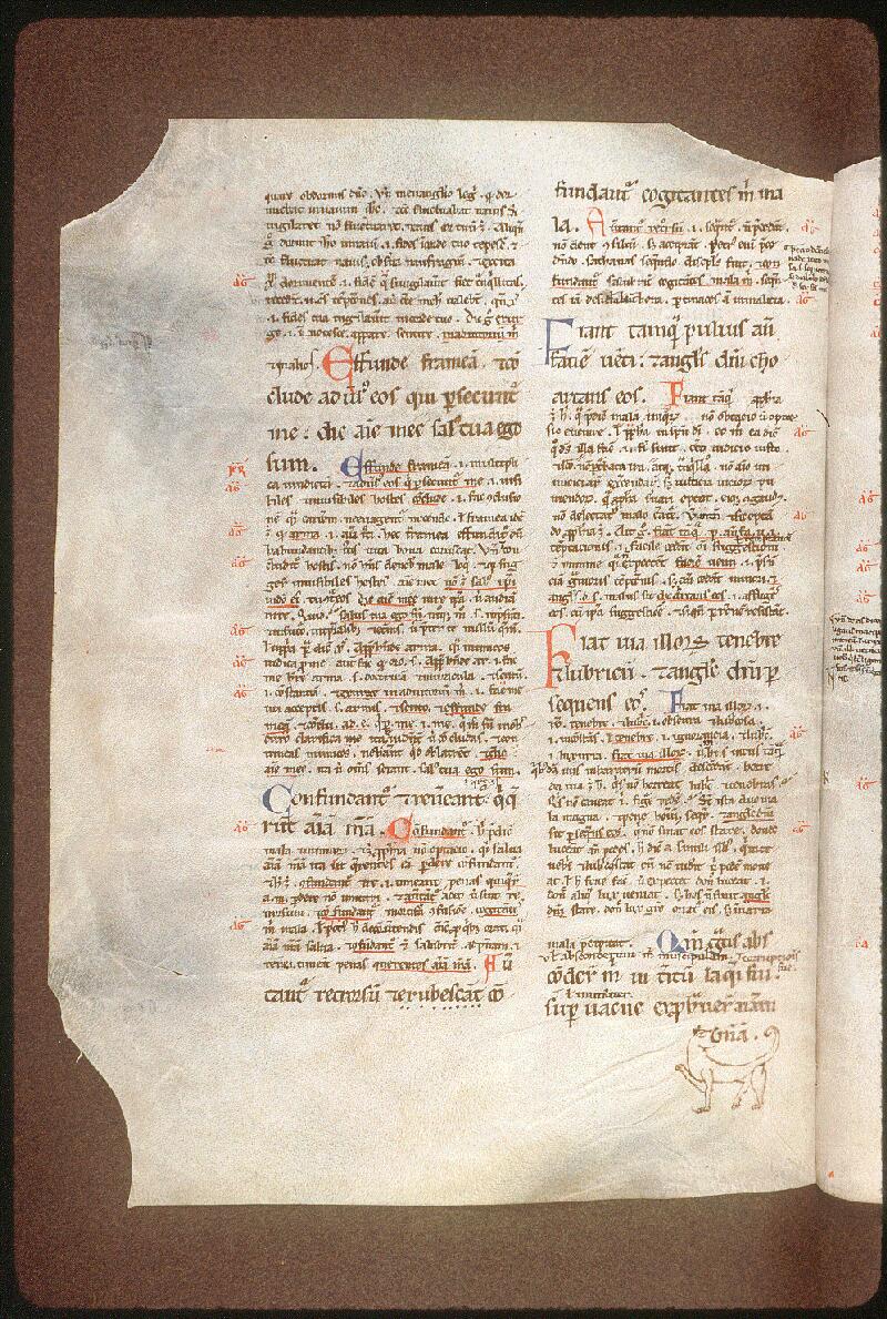 Avignon, Bibl. mun., ms. 0054, f. 061v - vue 1