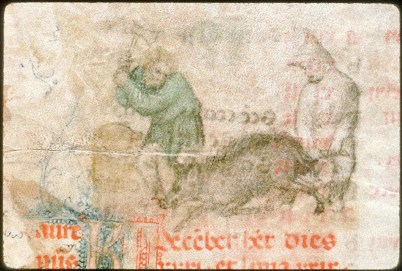 Avignon, Bibl. mun., ms. 0111, f. 016v