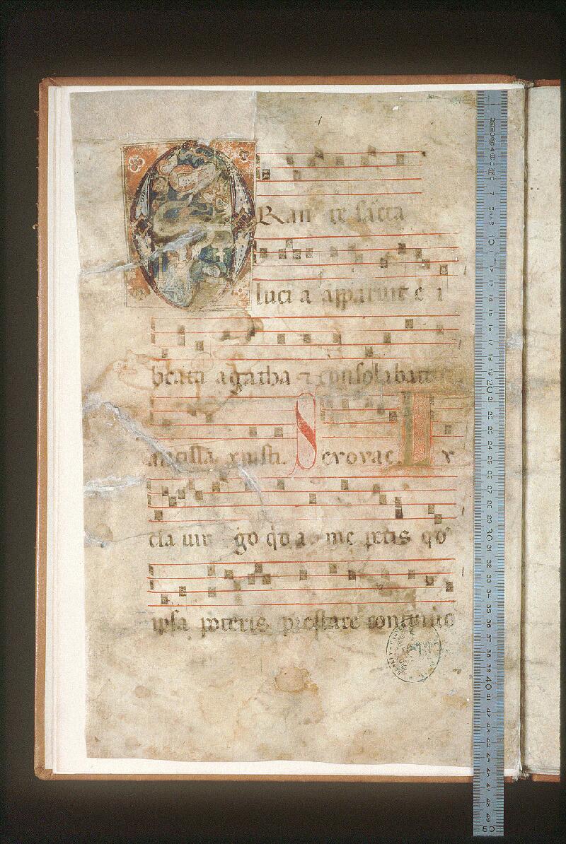 Avignon, Bibl. mun., ms. 0117, f. 001v - vue 1