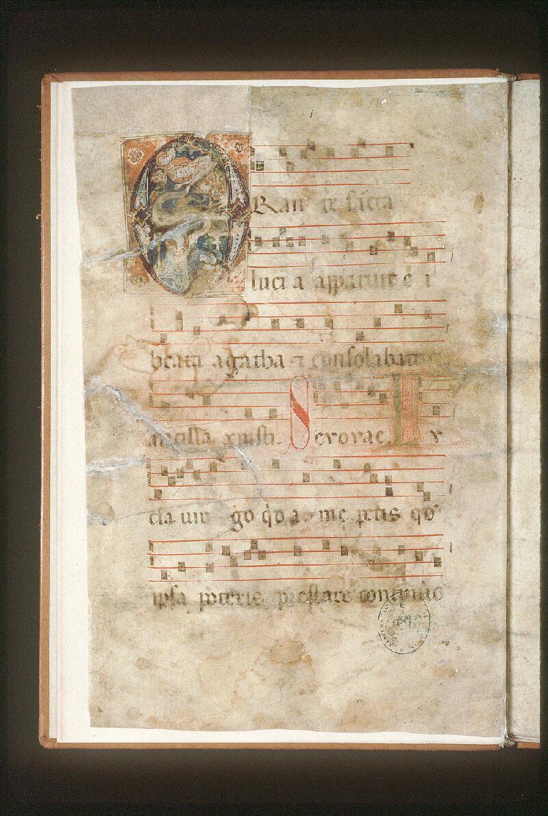 Avignon, Bibl. mun., ms. 0117, f. 001v - vue 2