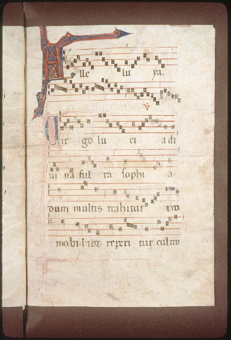 Avignon, Bibl. mun., ms. 0117, f. 009 - vue 1