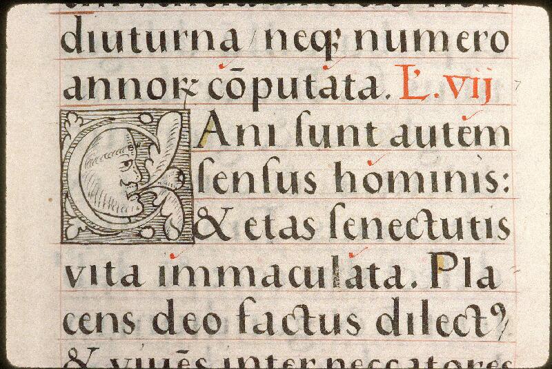 Avignon, Bibl. mun., ms. 0119, f. 086
