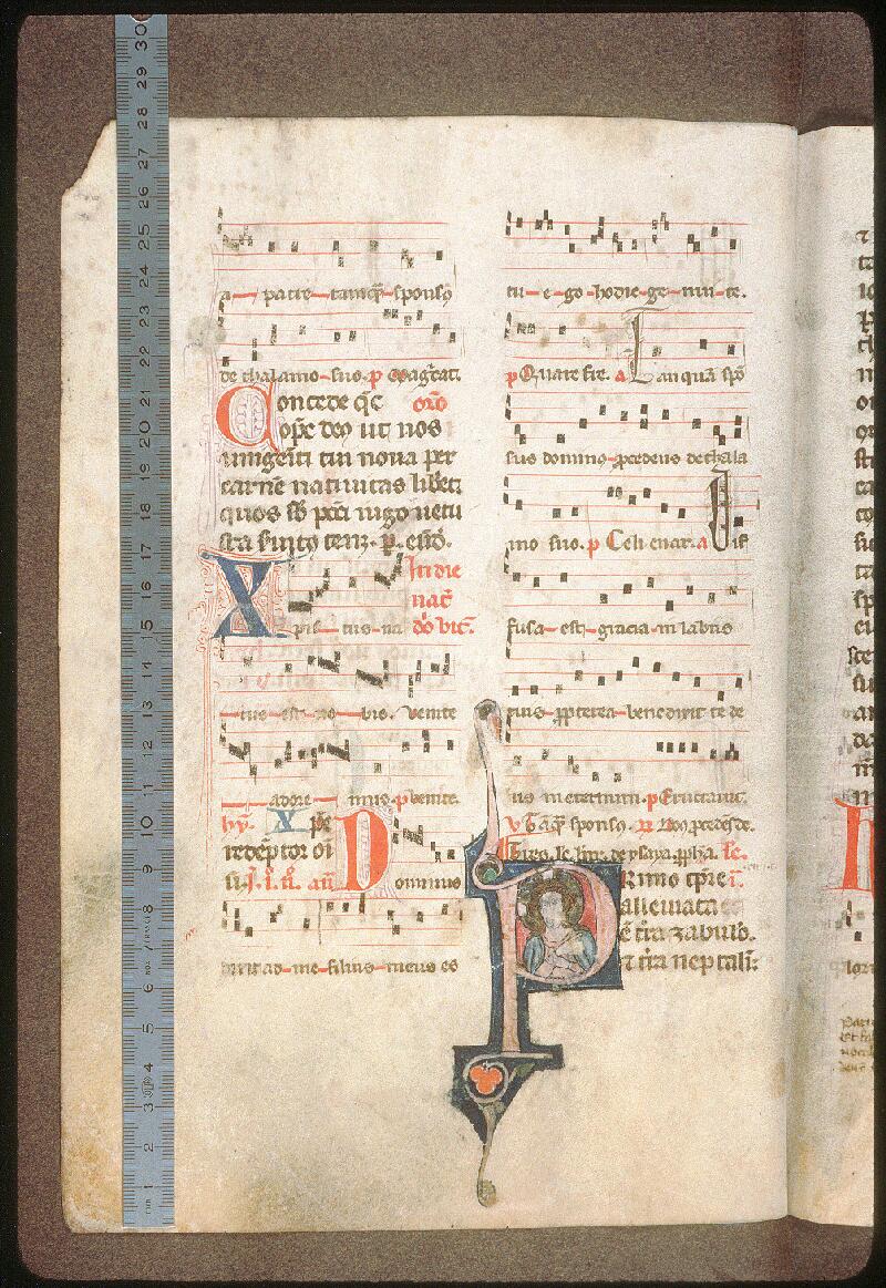 Avignon, Bibl. mun., ms. 0123, f. 056v - vue 1