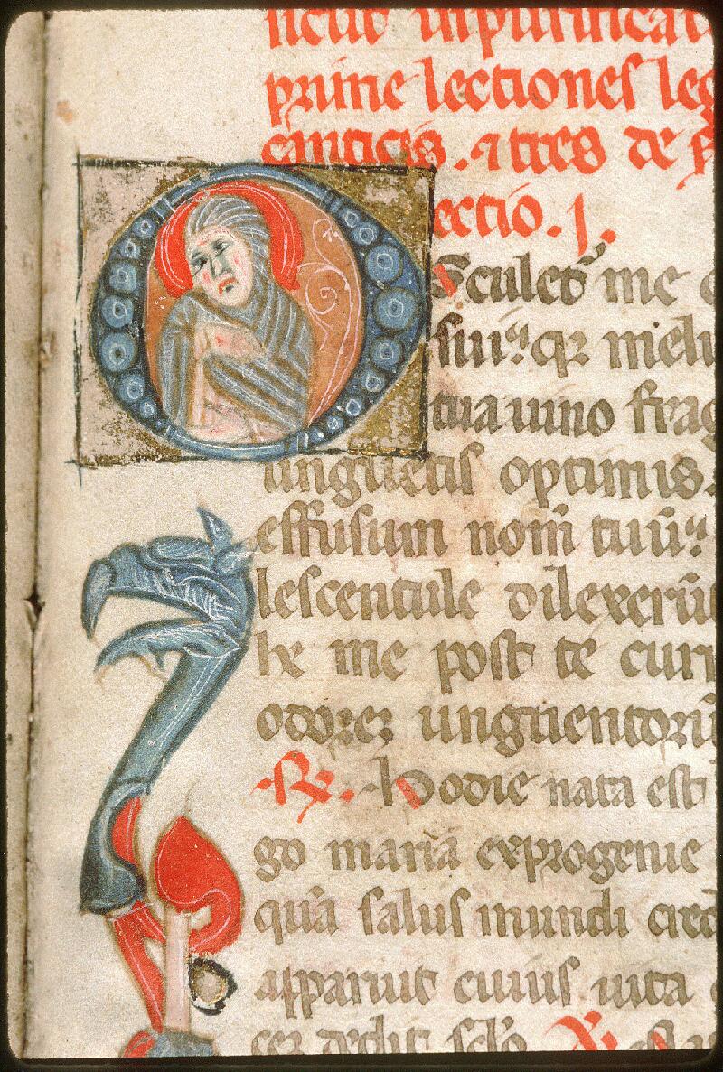 Avignon, Bibl. mun., ms. 0124, f. 363 - vue 2
