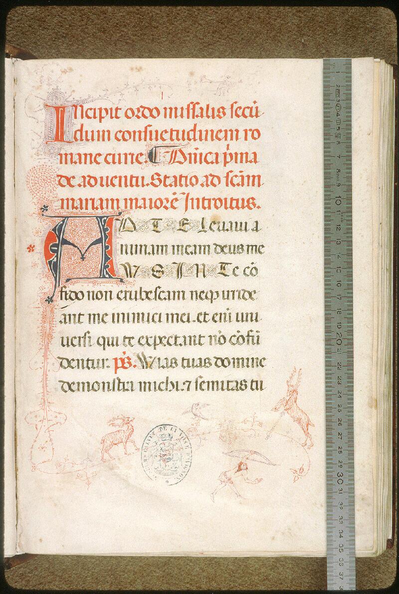 Avignon, Bibl. mun., ms. 0133, f. 001 - vue 1