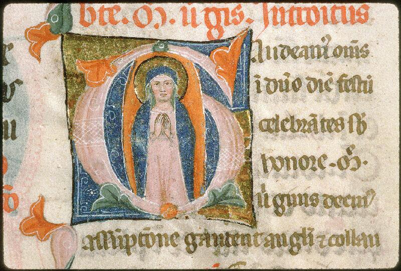 Avignon, Bibl. mun., ms. 0135, f. 256 - vue 2