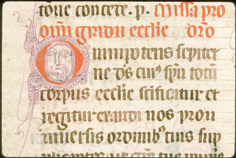 Avignon, Bibl. mun., ms. 0135, f. 310v