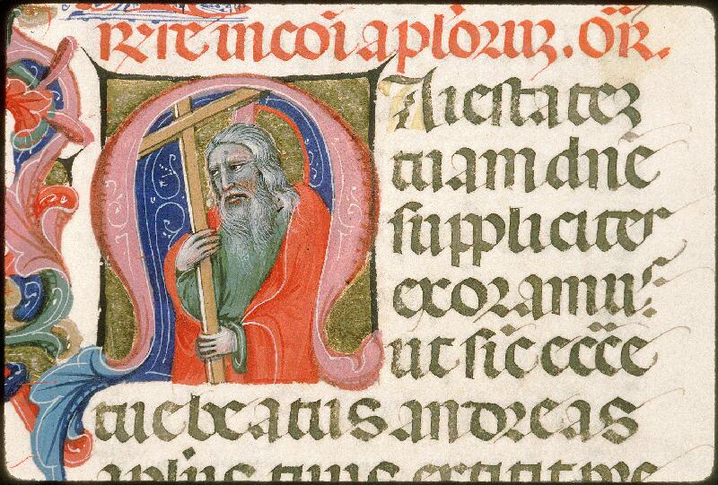 Avignon, Bibl. mun., ms. 0136, f. 221