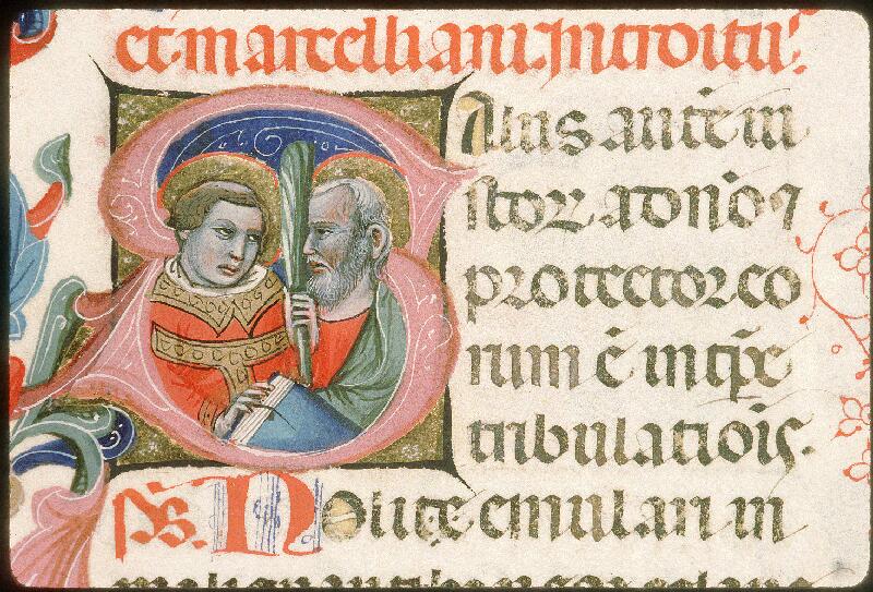 Avignon, Bibl. mun., ms. 0136, f. 244v - vue 1
